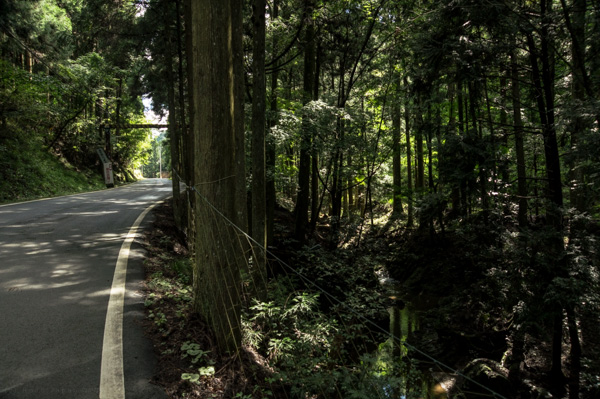国道162号 廃道 旧道