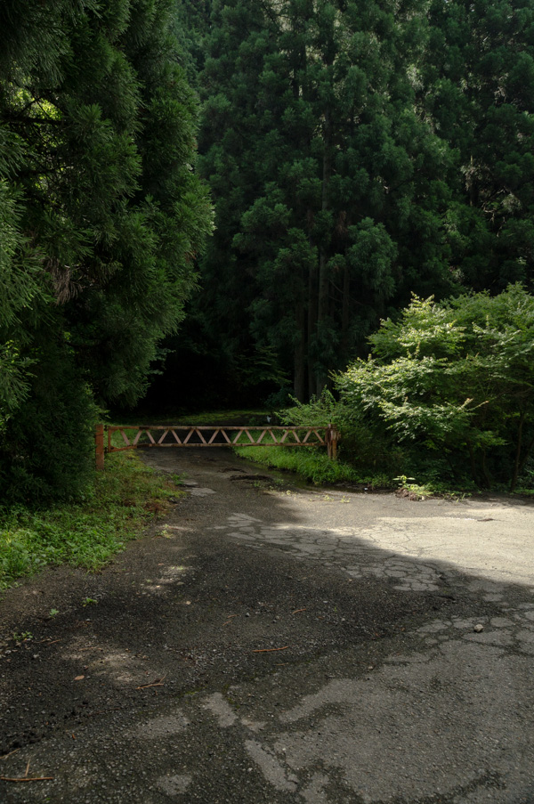 国道162号 廃道 旧道