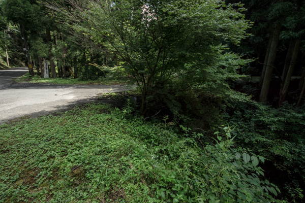 国道162号 廃道 旧道