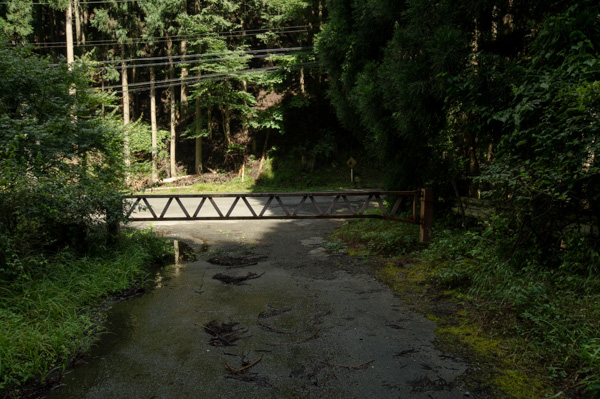 国道162号 廃道 旧道