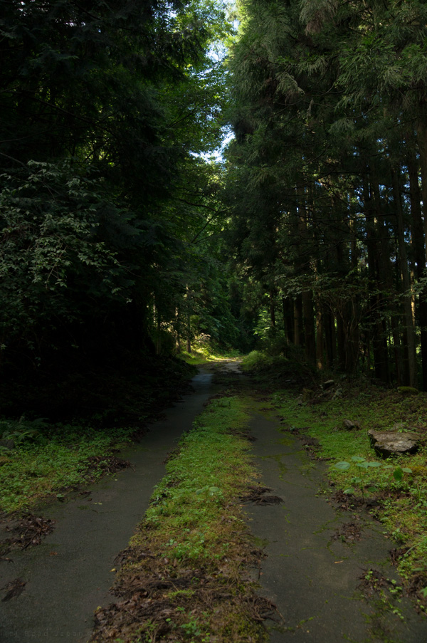 国道162号 廃道 旧道