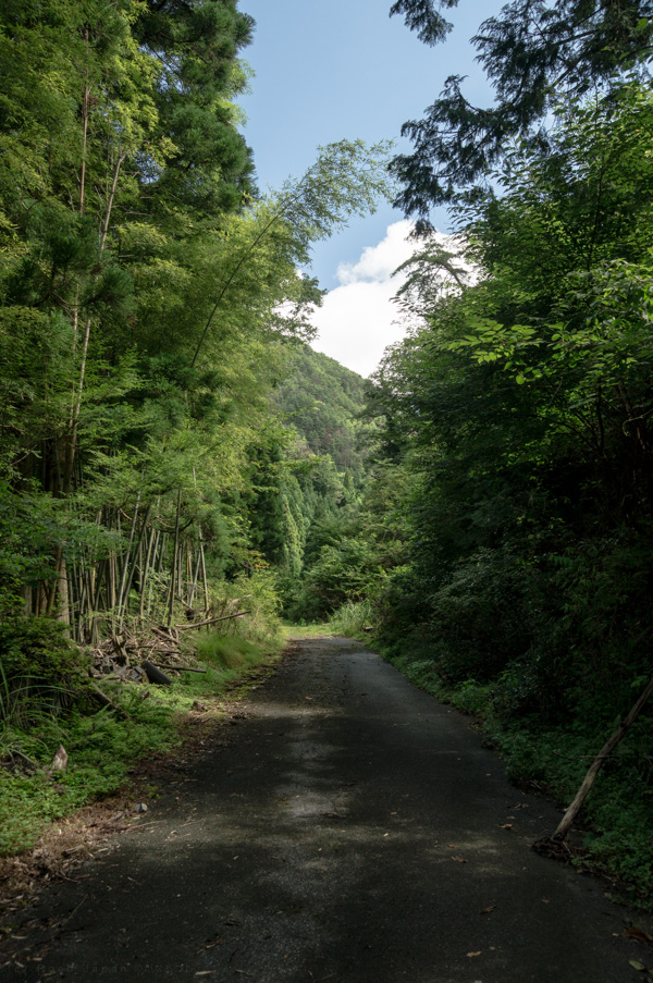 国道162号 廃道 旧道