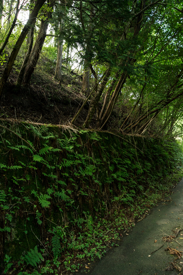 国道162号 廃道 旧道