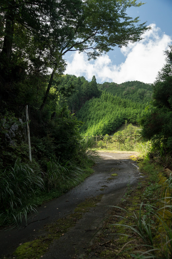 国道162号 廃道 旧道