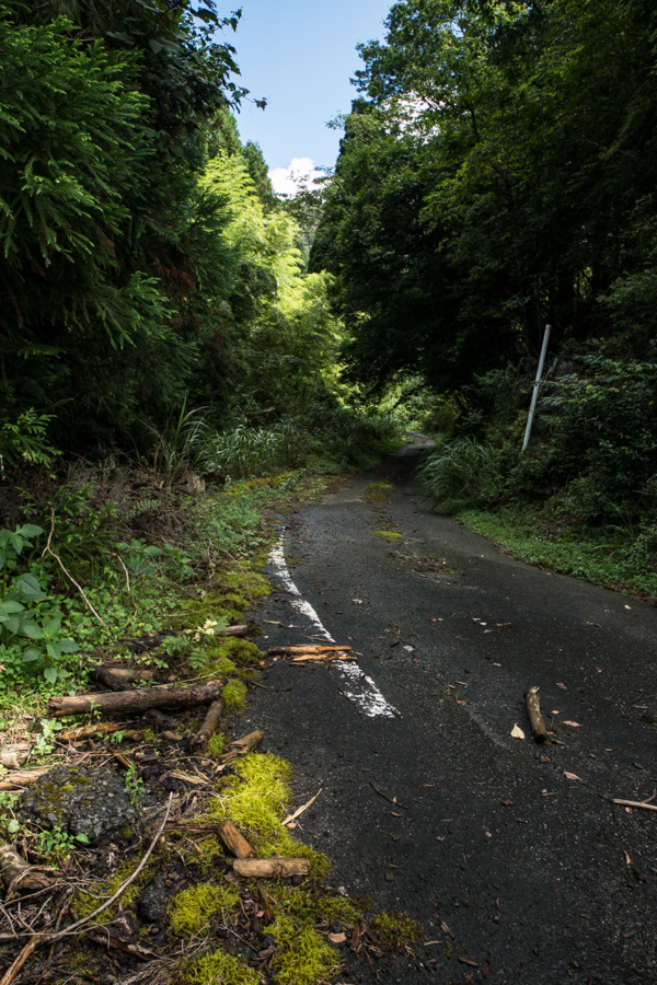 国道162号 廃道 旧道