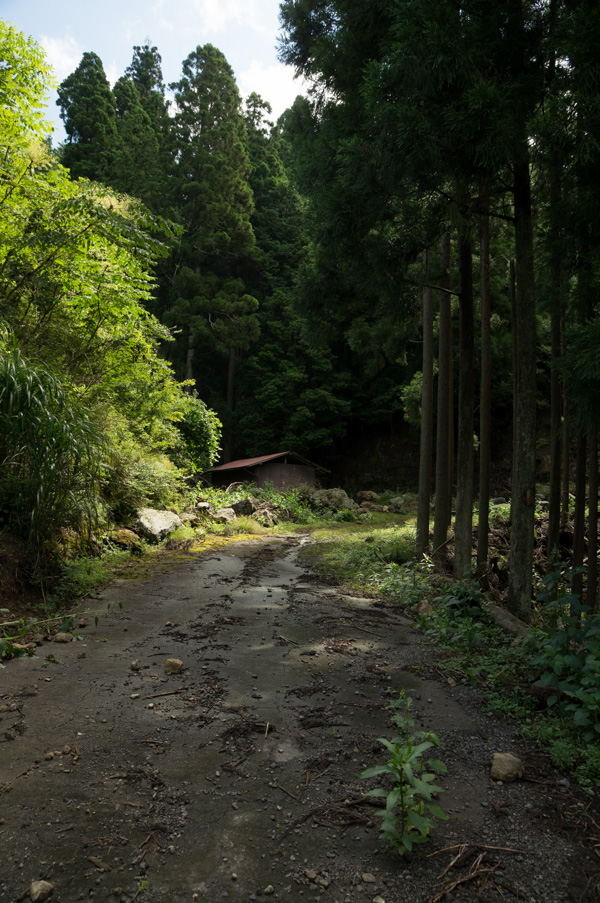 国道162号 廃道 旧道