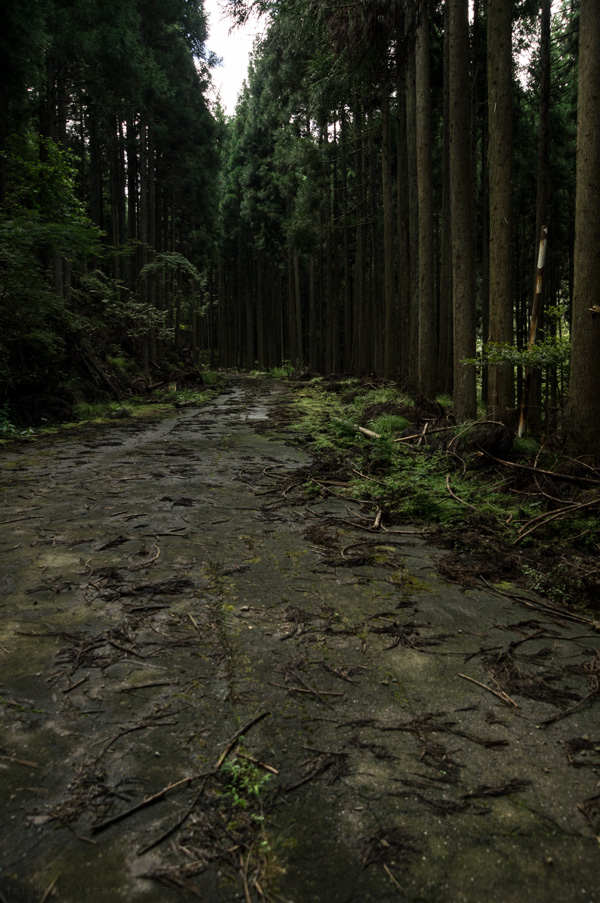 国道162号 廃道 旧道