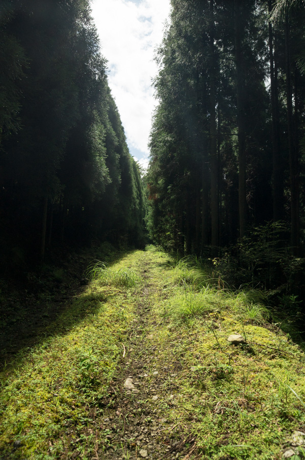 国道162号 廃道 旧道