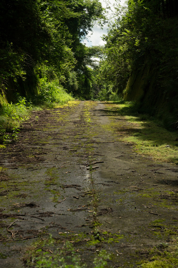 国道162号 廃道 旧道