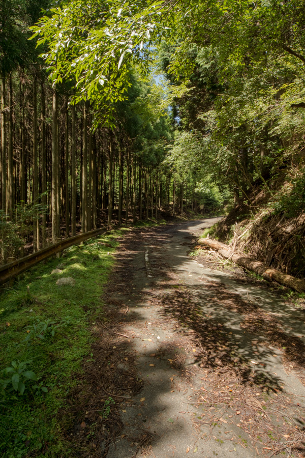 国道162号 廃道 旧道