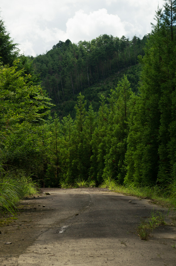 国道162号 廃道 旧道