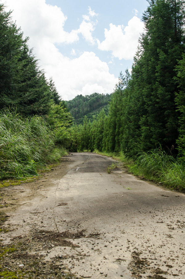 国道162号 廃道 旧道