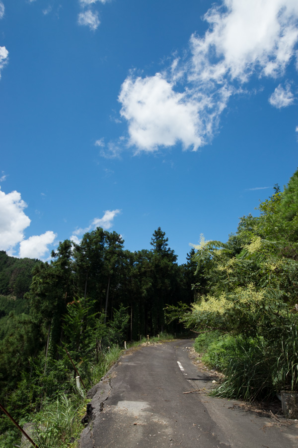 国道162号 廃道 旧道