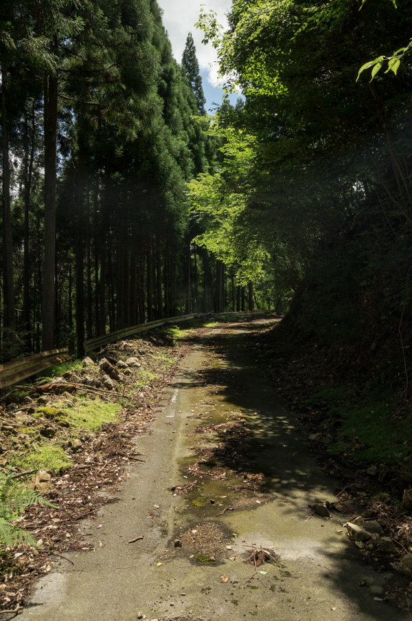 国道162号 廃道 旧道