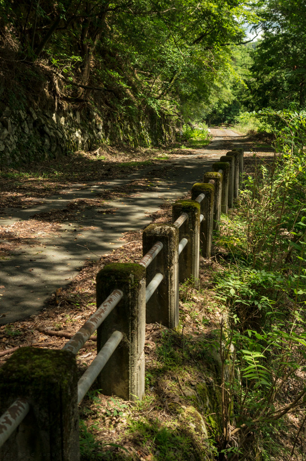 国道162号 廃道 旧道