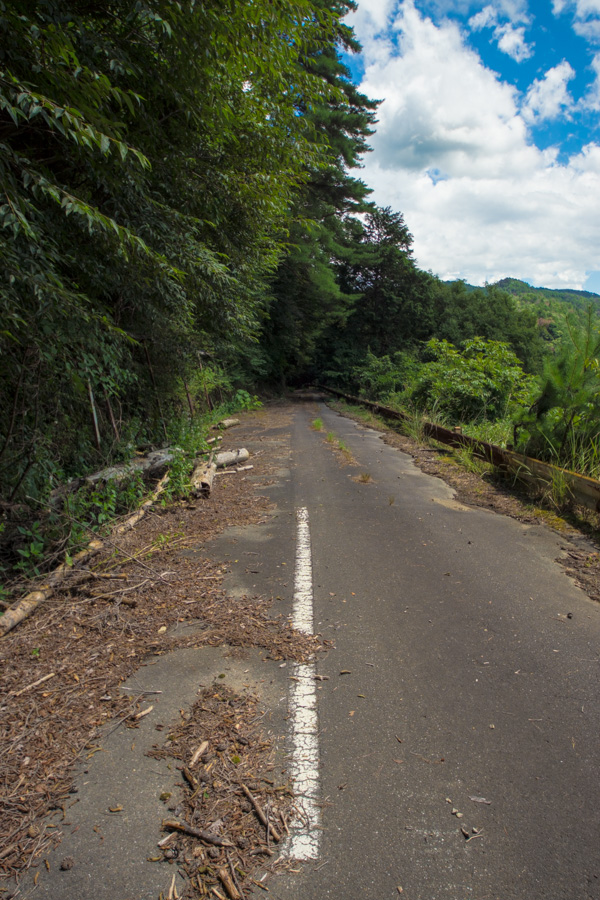 国道162号 廃道 旧道