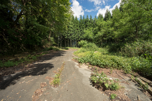 国道162号 廃道 旧道