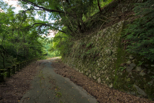 国道162号 廃道 旧道