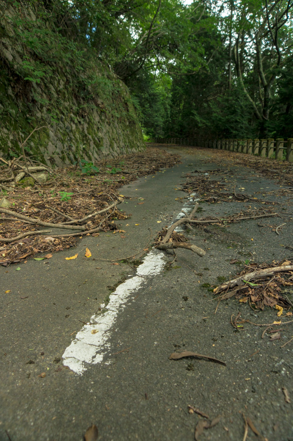 国道162号 廃道 旧道