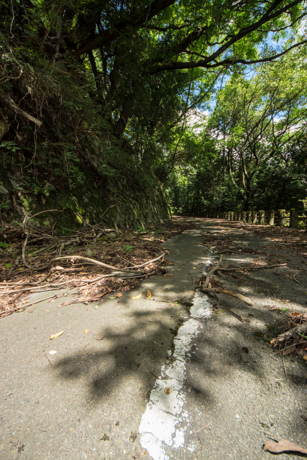 国道162号 廃道 旧道