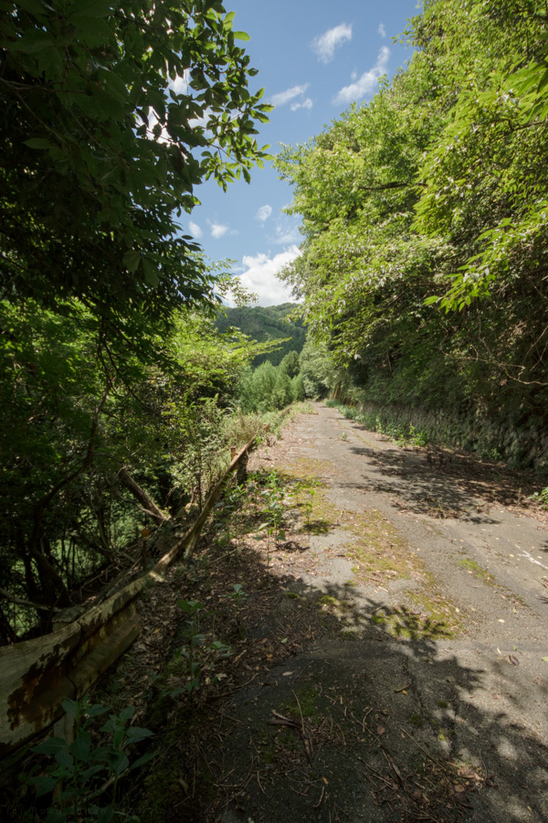 国道162号 廃道 旧道