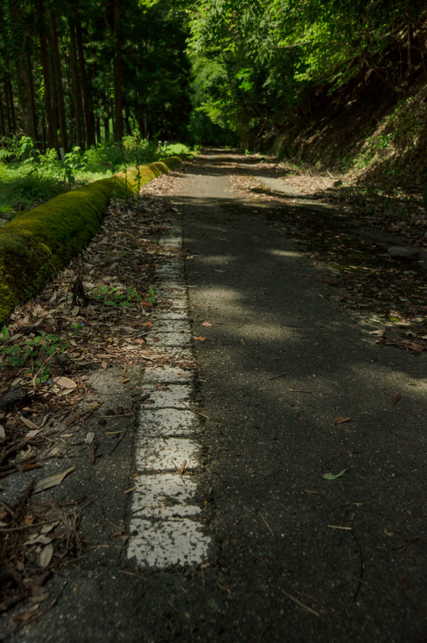 国道162号 廃道 旧道