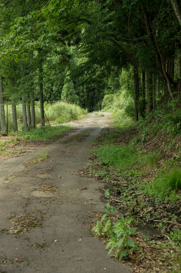 国道162号 廃道 旧道