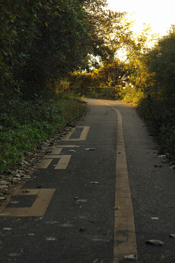 40高中 国道136号賀茂トンネル旧道 Roadjapan Info